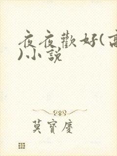 夜夜欢好(高h)小说