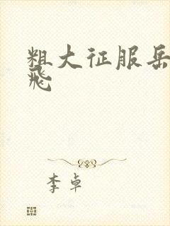 粗大征服岳女双飞