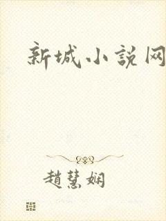 新城小说网