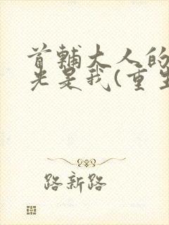 首辅大人的白月光是我(重生)