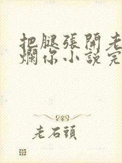 把腿张开老子臊烂你小说完