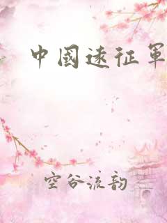 中国远征军下载