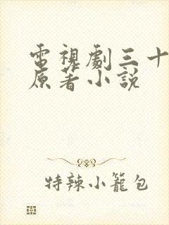 电视剧三十而已原著小说