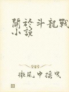 关于斗龙战士的小说