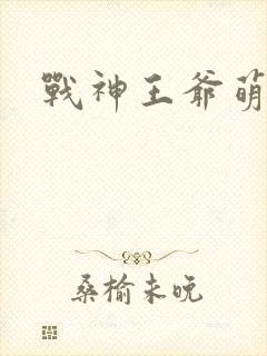 战神王爷萌虎妃