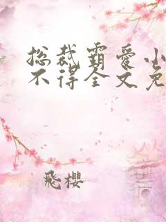 总裁霸爱小妻惹不得全文免费阅读笔趣阁