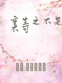 重生之不是非你不可