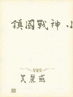 镇国战神 小说