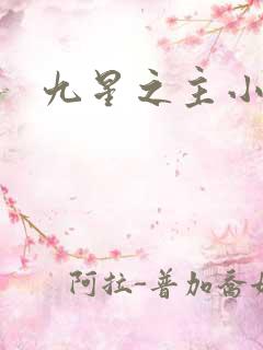 九星之主小说
