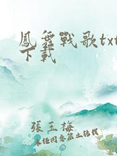 凤舞战歌txt下载