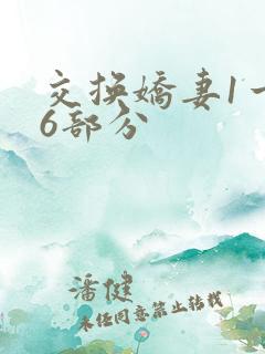 交换娇妻1一36部分