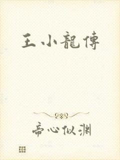 王小龙传