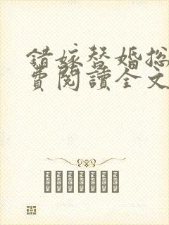 错嫁替婚总裁免费阅读全文