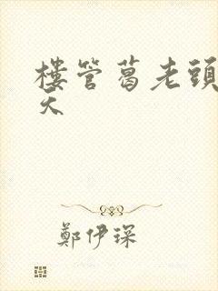 楼管葛老头的春天