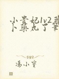 小贵妃1v2萝卜药丸了笔趣阁