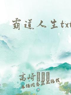 霸道人生txt