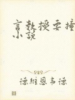 言教授要撞坏了小说