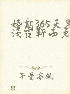 婚期365天慕浅霍靳西免费阅读