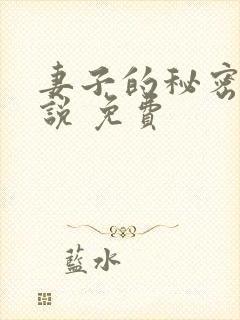 妻子的秘密 小说 免费