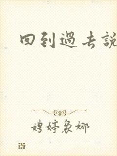 回到过去说爱你