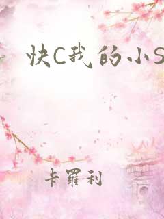 快C我的小SB