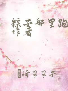 粽子哪里跑小说作者