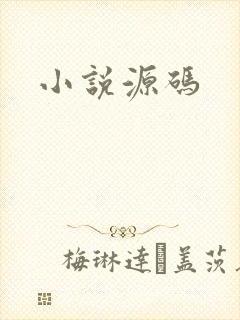小说源码