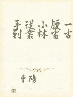 手从小腹一路开到丛林处古代