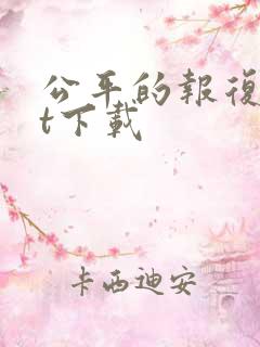 公平的报复txt下载