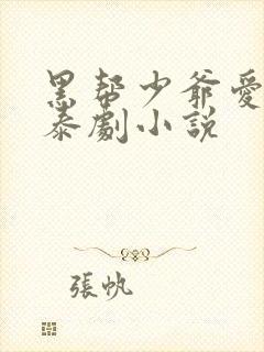 黑帮少爷爱上我泰剧小说