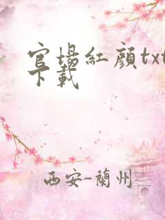 官场红颜txt下载