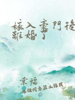 嫁入豪门后我又离婚了