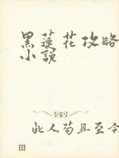 黑莲花攻略手册小说