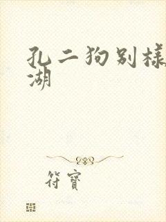 孔二狗别样的江湖