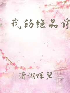我的绝品前妻
