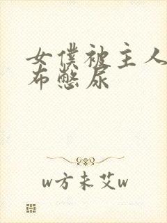 女仆被主人用胶布憋尿