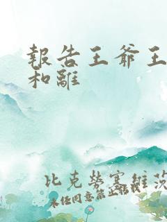 报告王爷王妃要和离