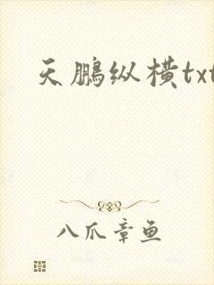 天鹏纵横txt
