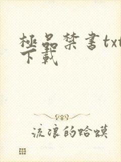 极品禁书txt下载