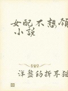 女配不想领便当 小说