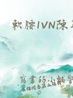 软腰1VN陈年