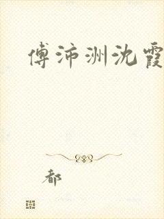 傅沛洲沈霞小说