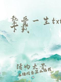 挚爱一生txt下载