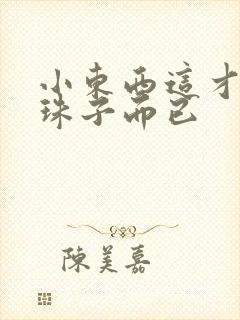 小东西这才一颗珠子而已