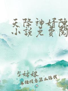 天降神婿陈黄皮小说免费阅读