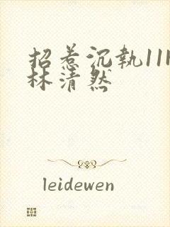 招惹沉执11H林清然