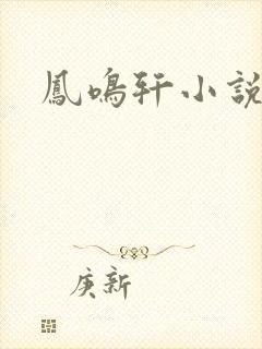 凤鸣轩小说