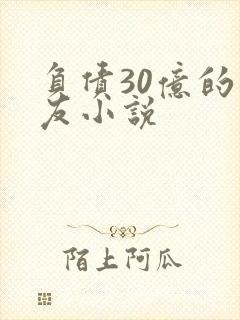 负债30亿的男友小说