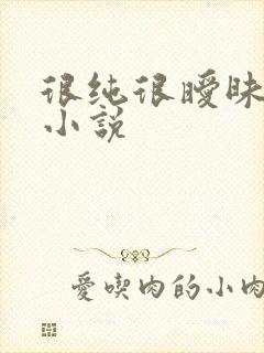 很纯很暧昧有声小说