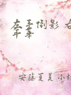 左手倒影 右手年华